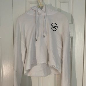 Hollister Hoodie